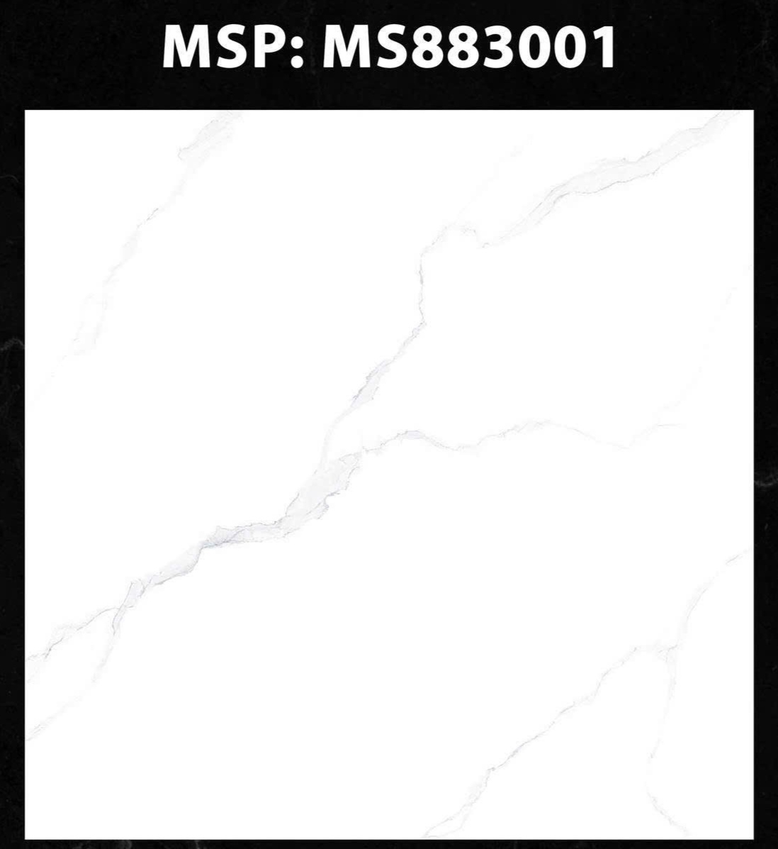 Gạch ốp lát 80x80cm -4862