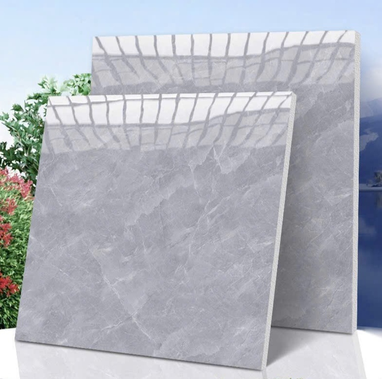 Gạch ốp lát 80x80cm -4901