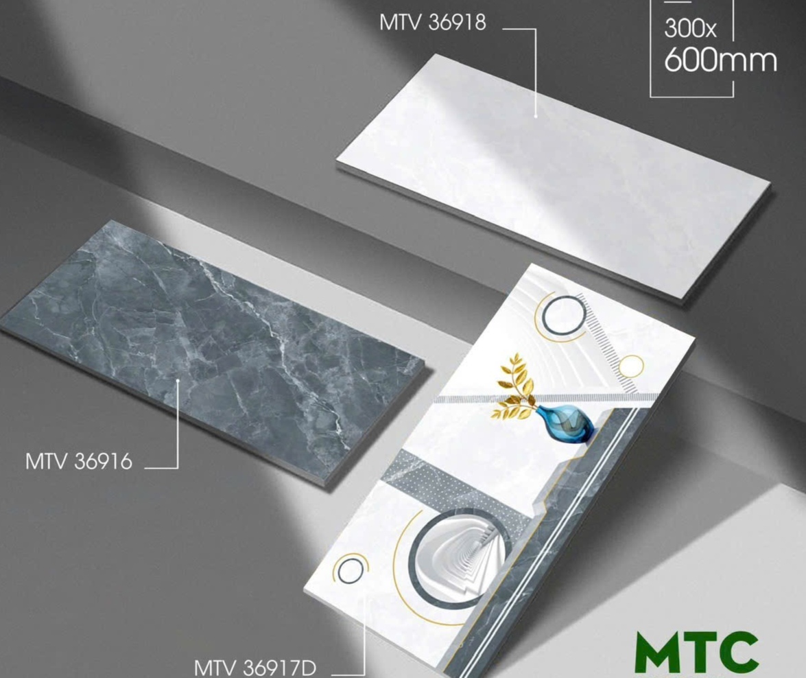 Gạch ốp tường 30x60cm-5295