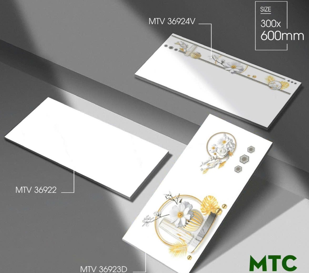 Gạch ốp tường 30x60cm-5296