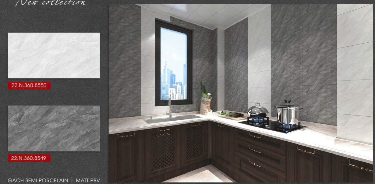 Gạch ốp lát 30x60cm-5330