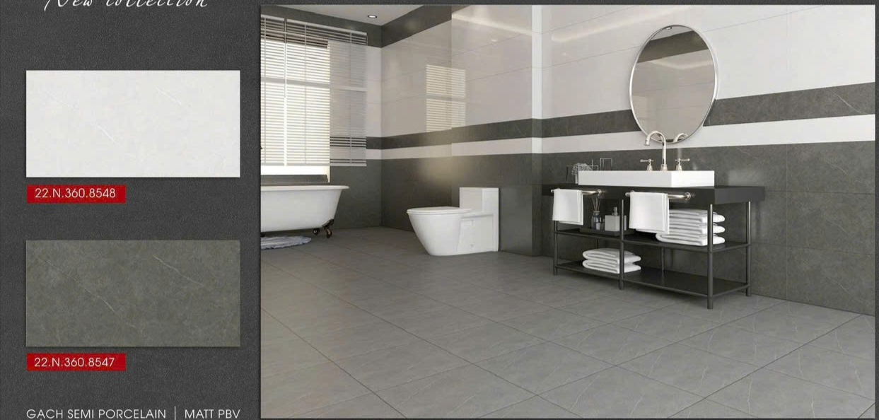 Gạch ốp lát 30x60cm-5331