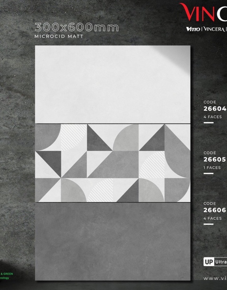 Gạch ốp lát 30x60cm-5391