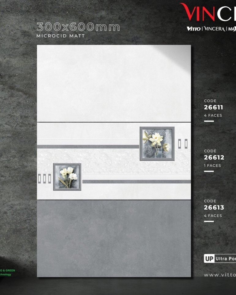 Gạch ốp lát 30x60cm-5393