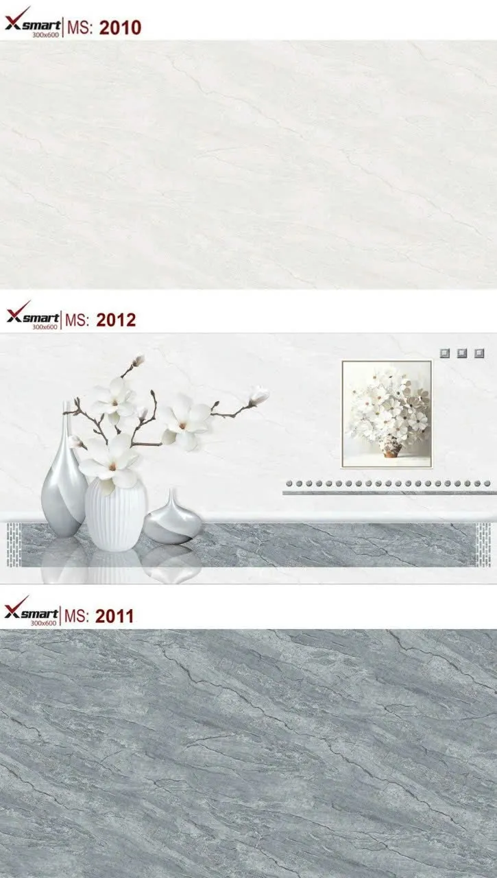 Gạch ốp tường 30x60cm-5401
