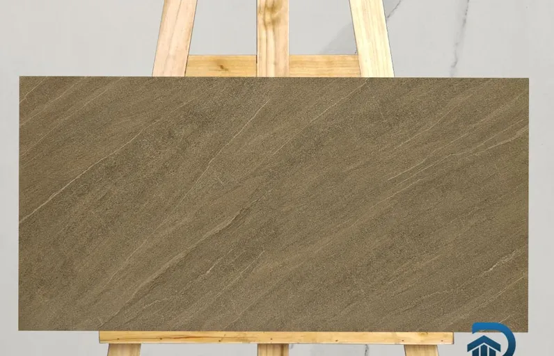 Gạch ốp lát 30x60cm-5445