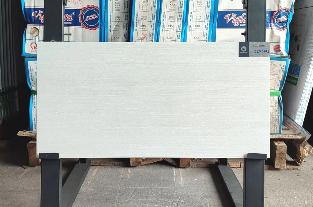 Gạch ốp lát 30x60cm-5474