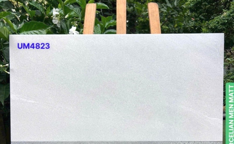 Gạch ốp lát 40x80cm Viglacera -5506