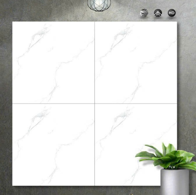 Gạch ốp lát 60x60cm-5516