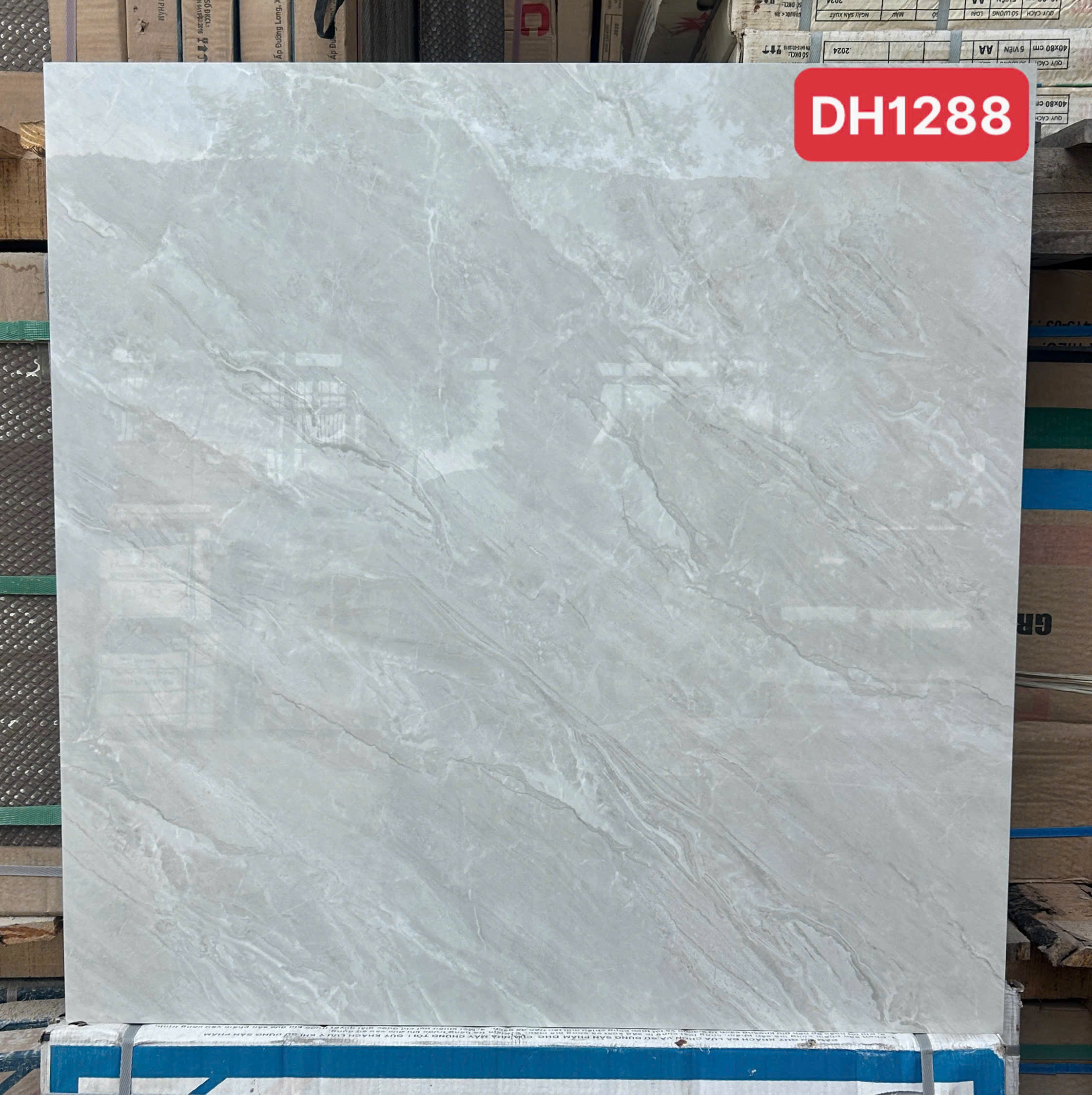 Gạch Lát Nền 80x80cm -5689