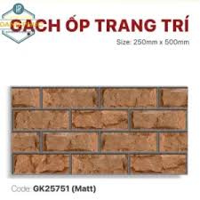 Gạch Trang Trí 25x50cm -5559