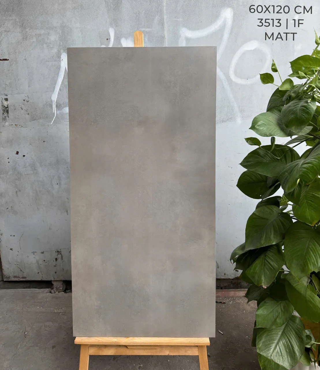 Gạch Lát Nền 60x120cm -5163