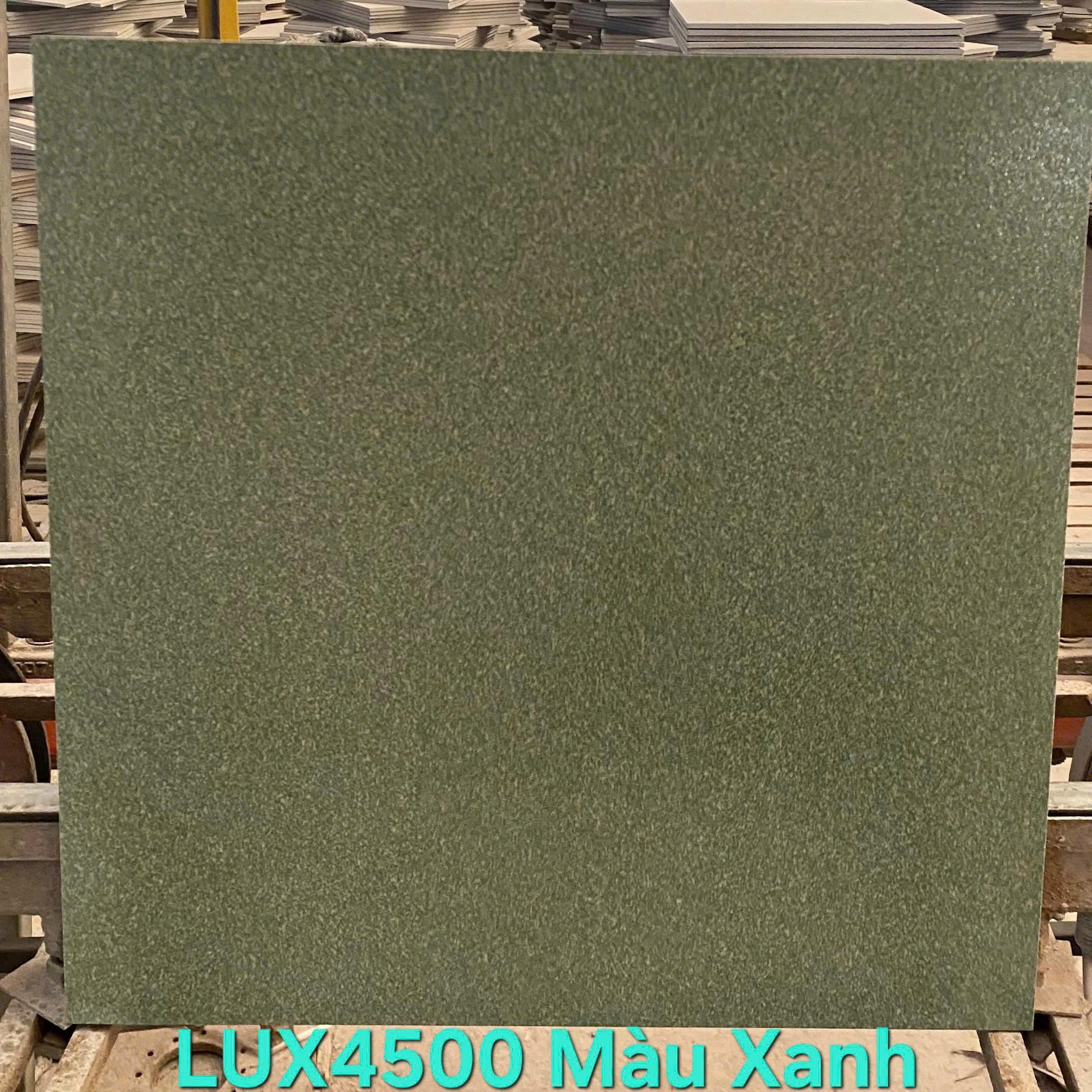 Gạch Lát Sân Vườn 40x40cm -5702