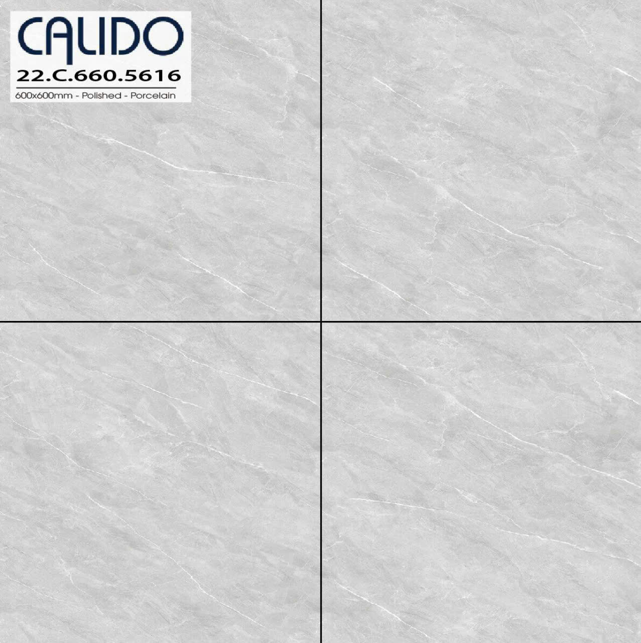 Gạch Lát Nền 60x60cm 5616-4776