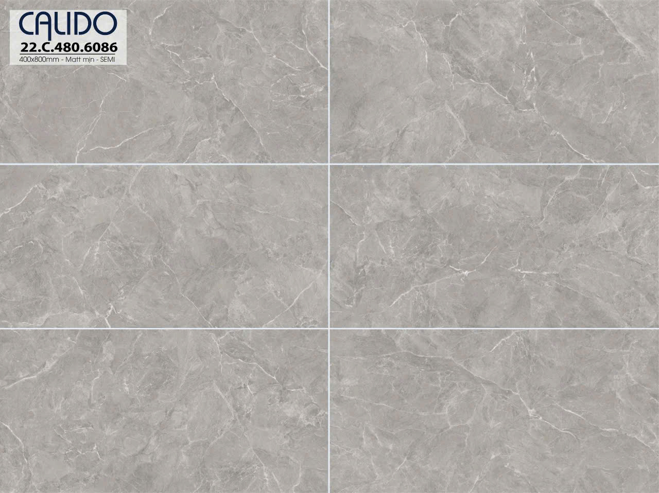 Gạch Ốp Tường 40x80cm -5258