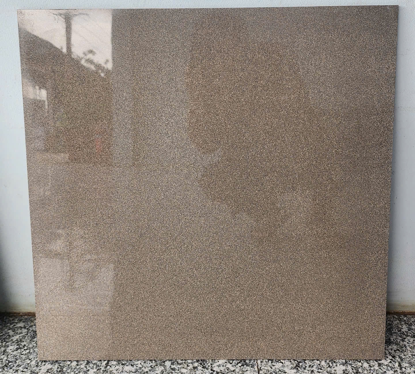 Gạch Lát Nền 60x60cm 6200B-4829