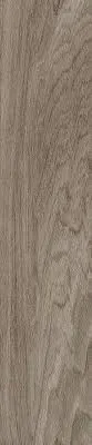 Gạch gỗ 20x100cm -5304