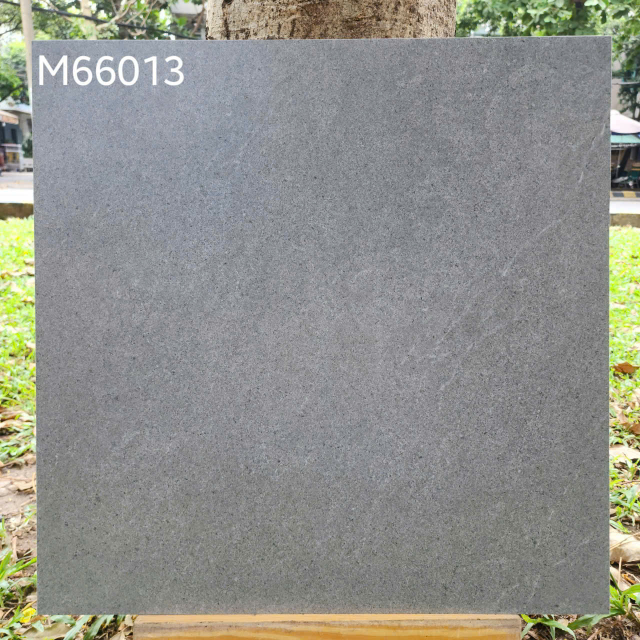 Gạch Lát Nền 60x60cm M66013-4823