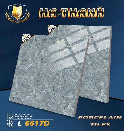 Gạch Lát Nền 60x60cm -5009
