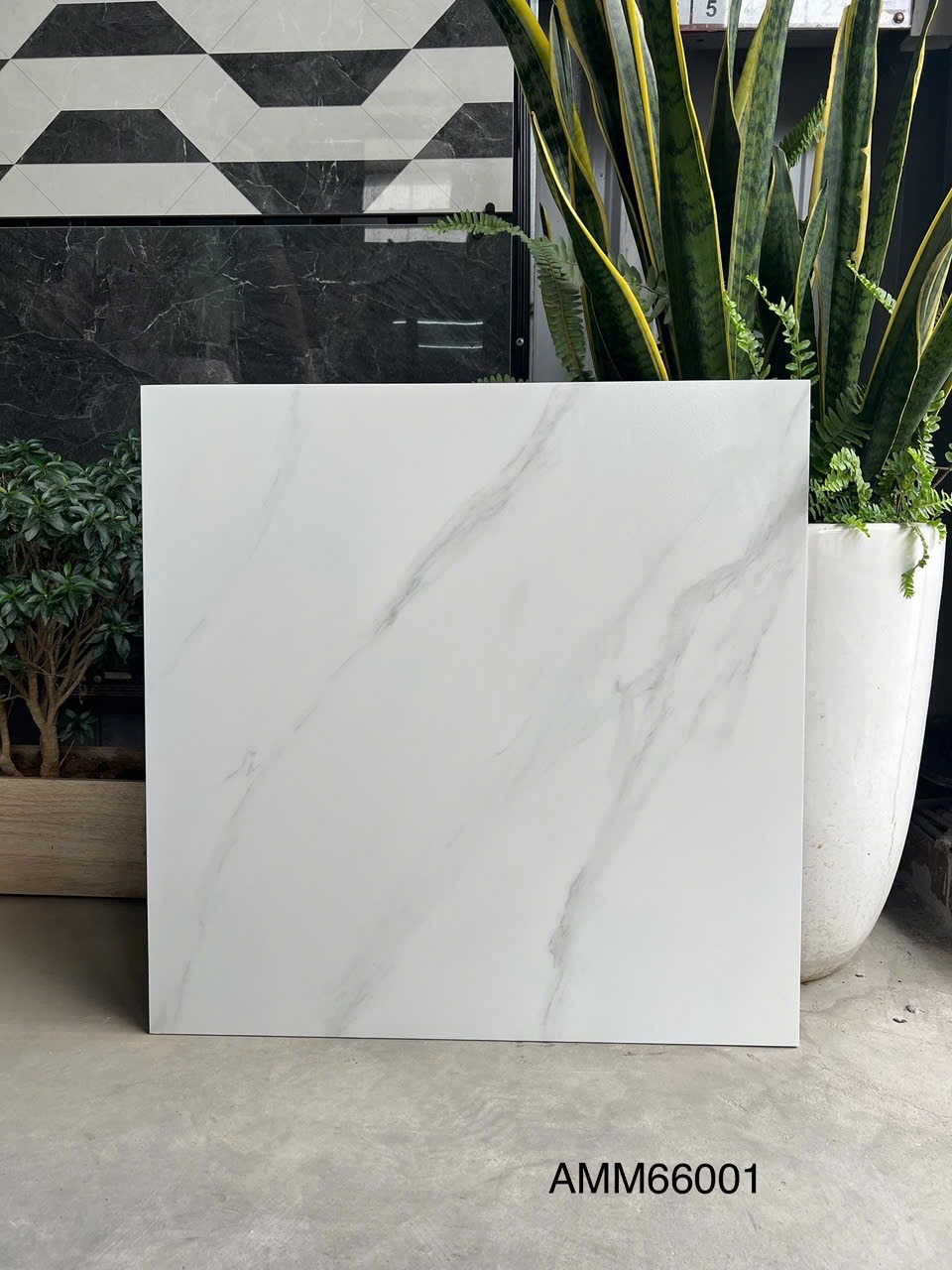Gạch Lát Nền 60x60cm AMM66001-4755