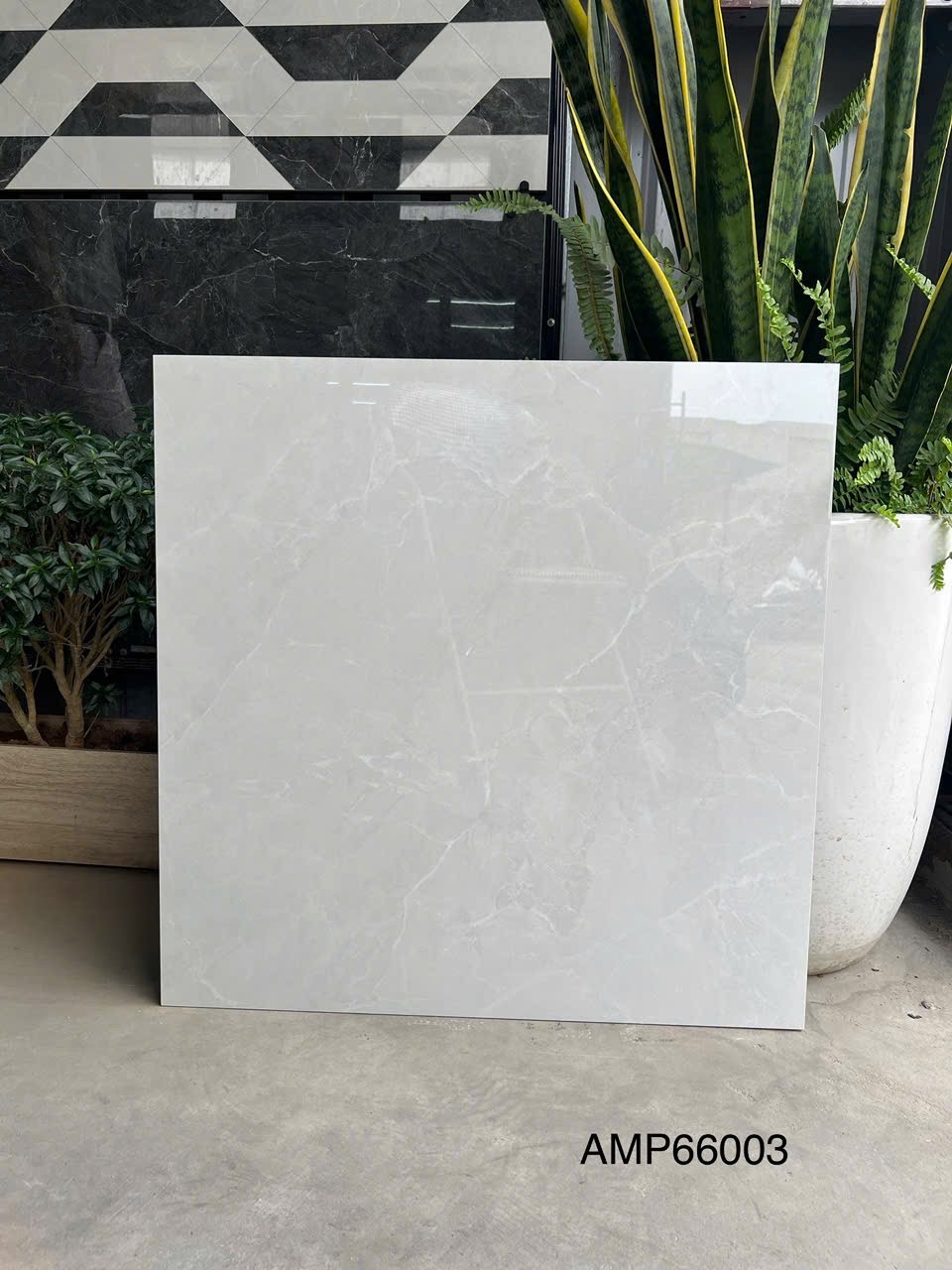 Gạch Lát Nền 60x60cm AMP66003-4753