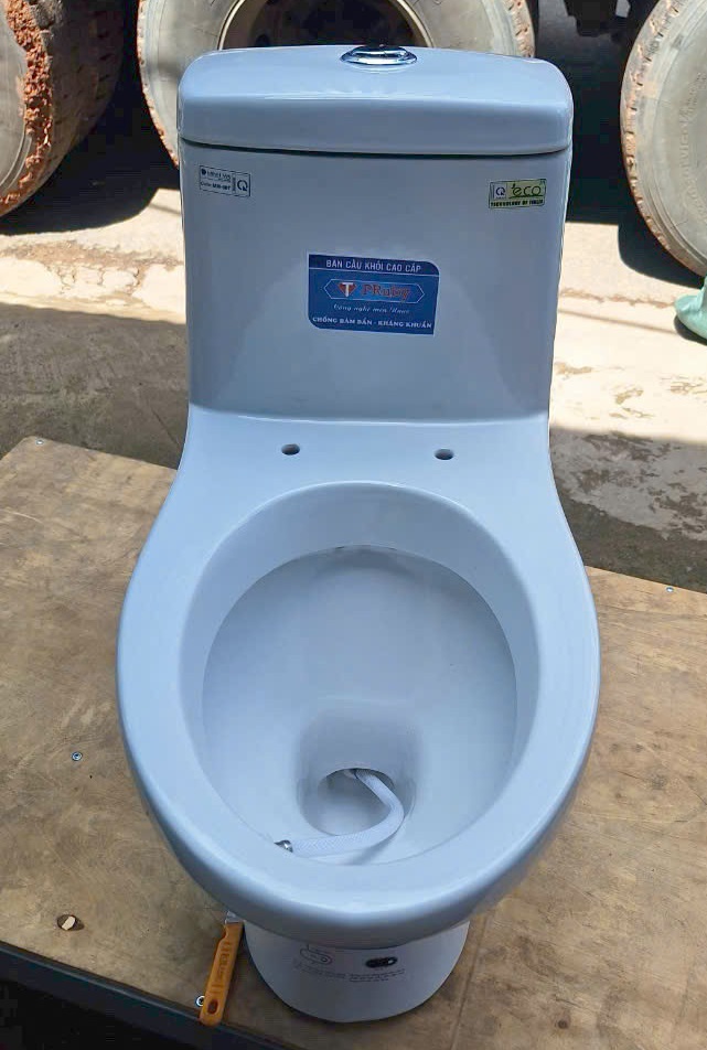 Bồn cầu liền khối giá rẻ-2859
