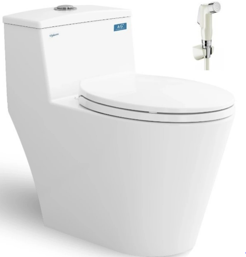 Bồn Cầu Liền Khối Viglacera-3741