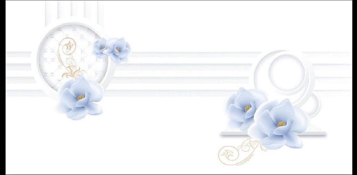 GẠCH ĐIỂM 40X80 CERAMIC HÀ THANH-2900