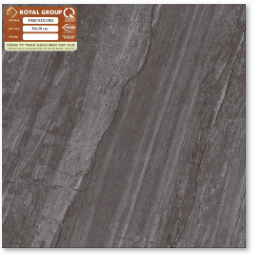 Gạch lát nền 30x30cm HOÀNG GIA-1485