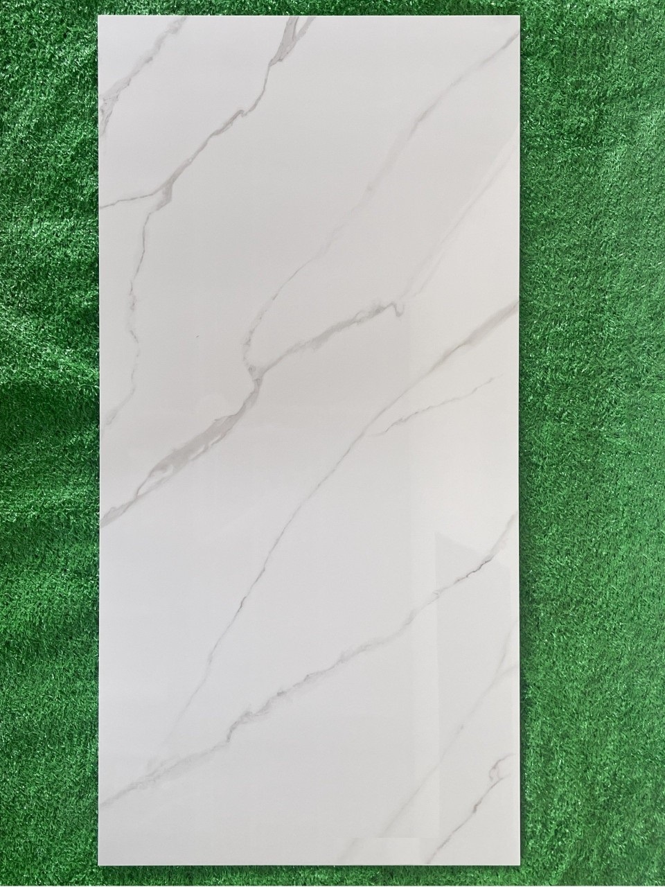 Gạch lát nền 60x120cm Viglacera-1967