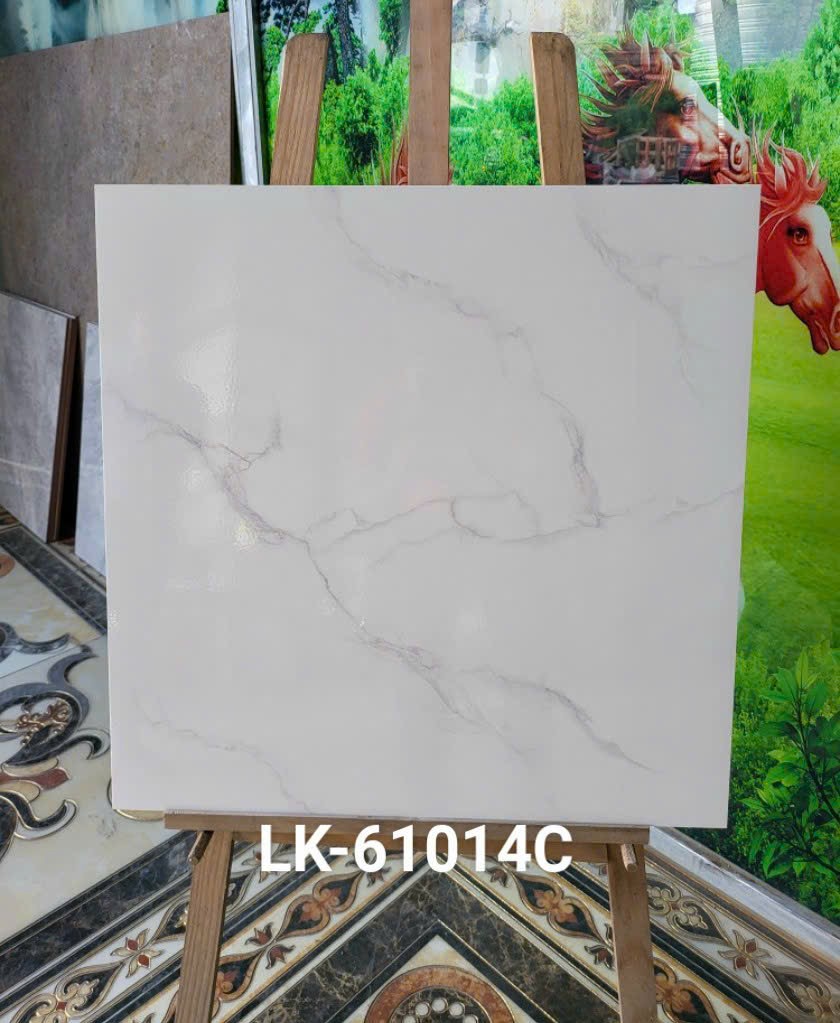 Gạch lát nền 60x60 NICE-1887