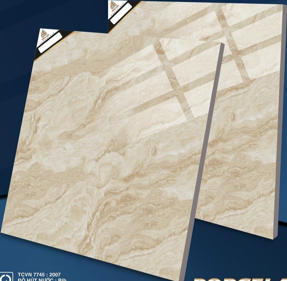 Gạch lát nền 60x60cm-190