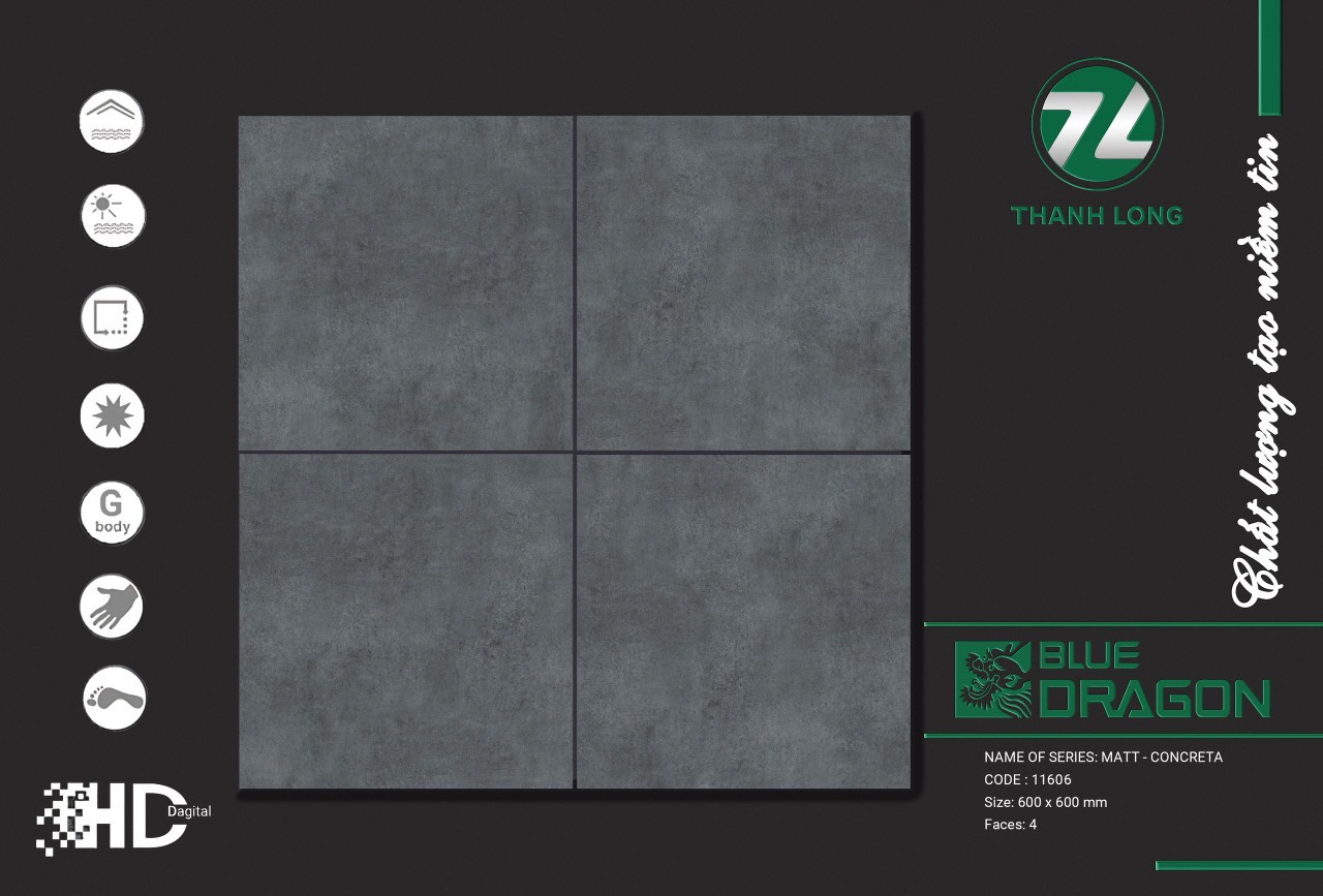 Gạch lát nền 60x60cm TASA-1066