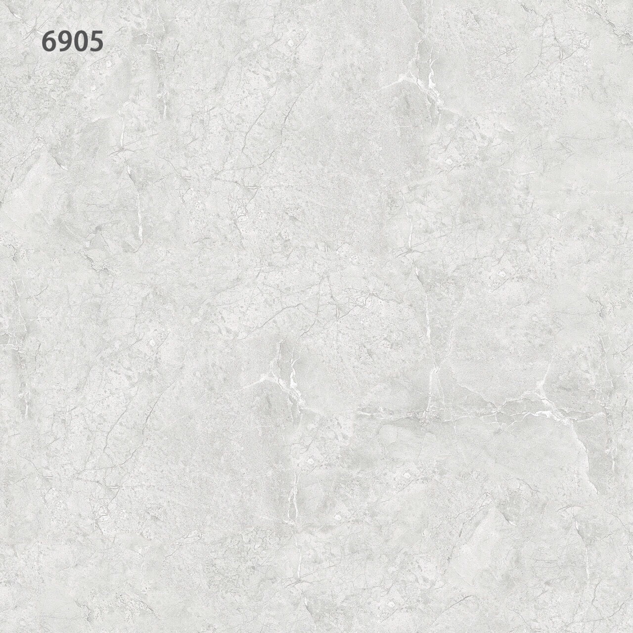 Gạch lát nền 60x60cm TASA-1046