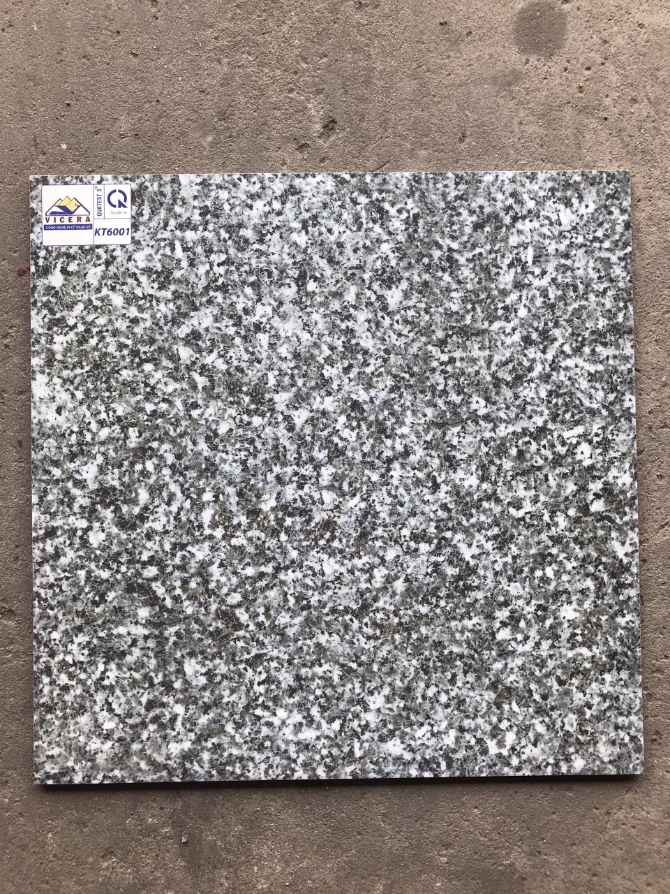 Gạch lát nền 60x60cm VICERA-870