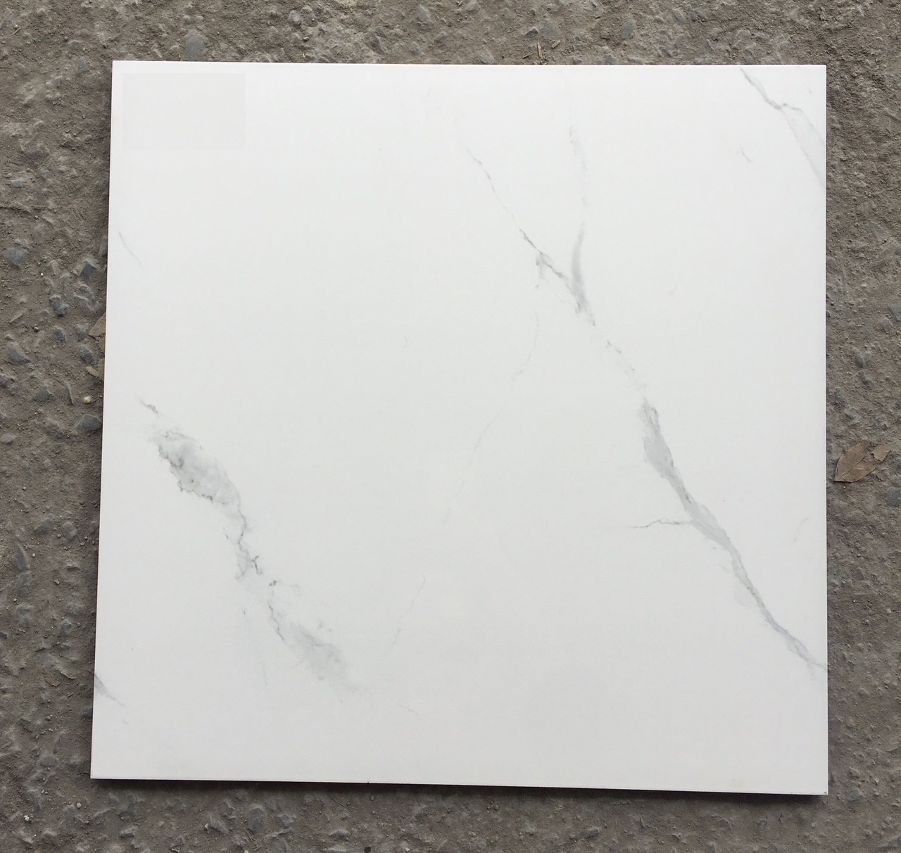 Gạch lát nền 60x60cm VICERA-868