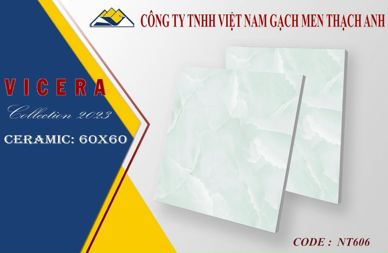 Gạch lát nền 60x60cm VICERA-1905