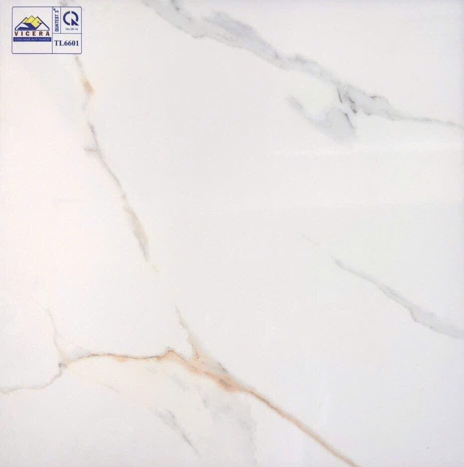 Gạch lát nền 60x60cm VICERA-1901