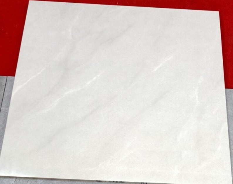 Gạch lát nền 60x60cm VIGLACERA-2189