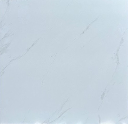 Gạch lát nền 80x80cm Viglacera -499