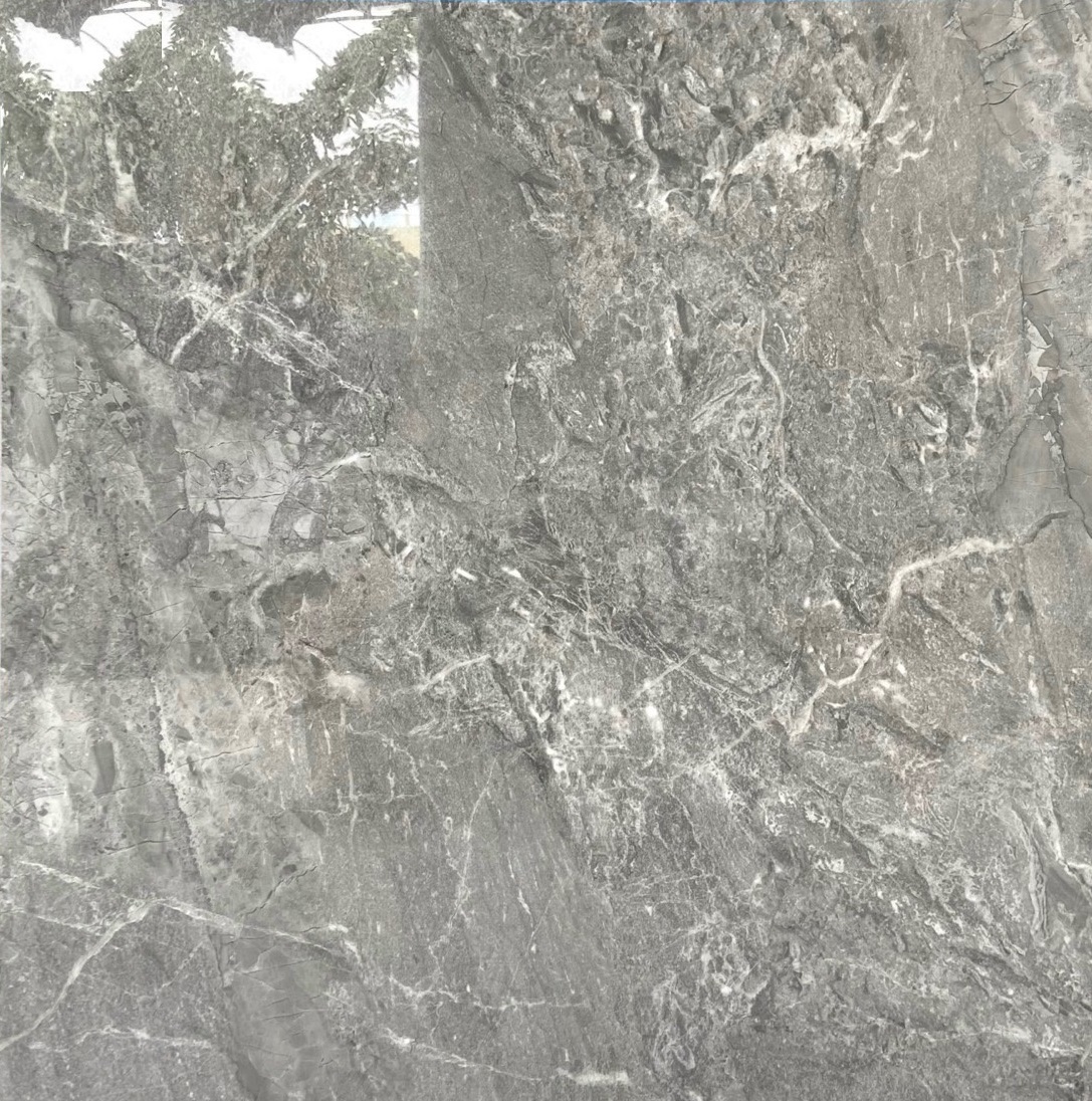 Gạch lát nền 80x80cm Viglacera -2048