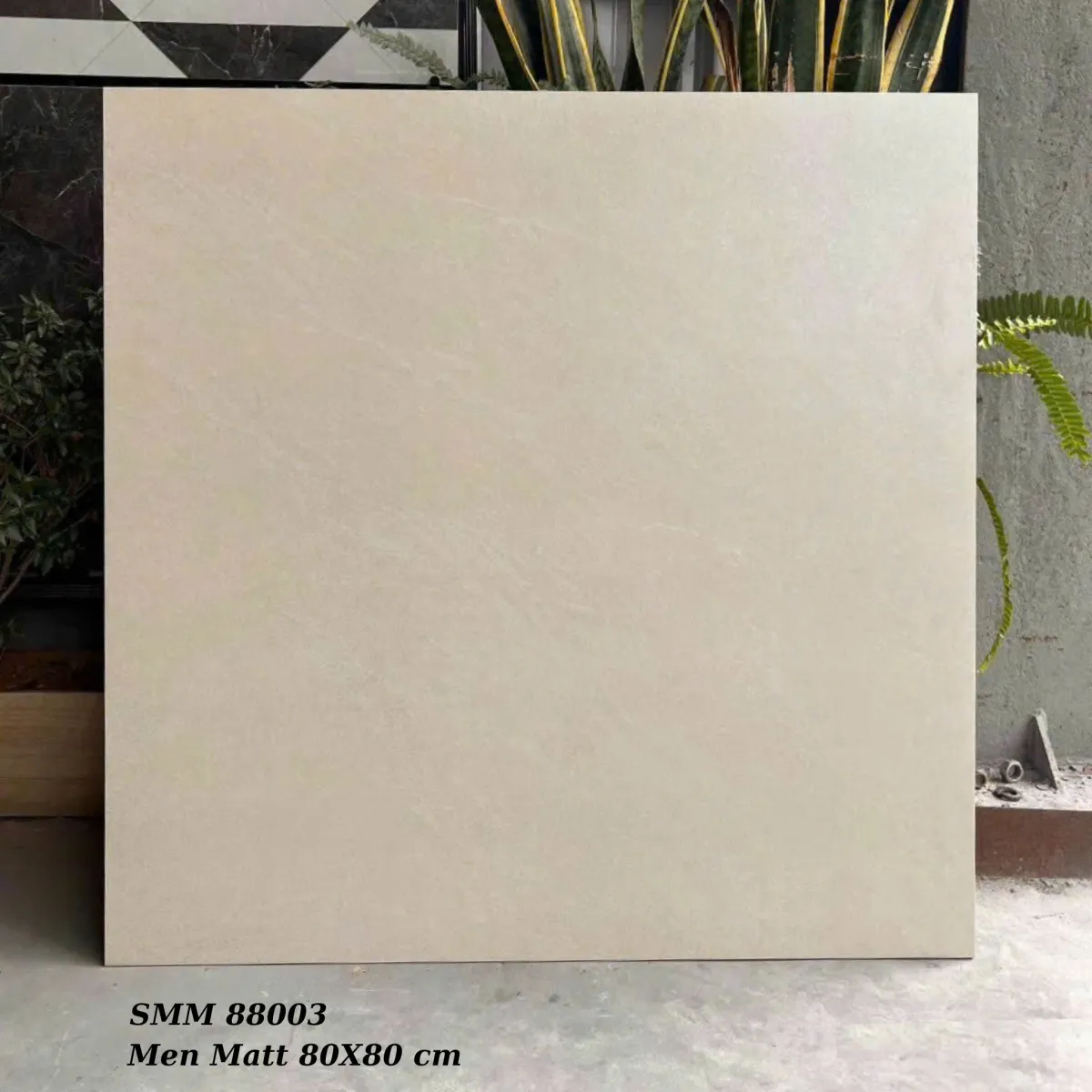 Gạch 0036.4267 Gạch lát nền 80x80cm men matt  80x80cm