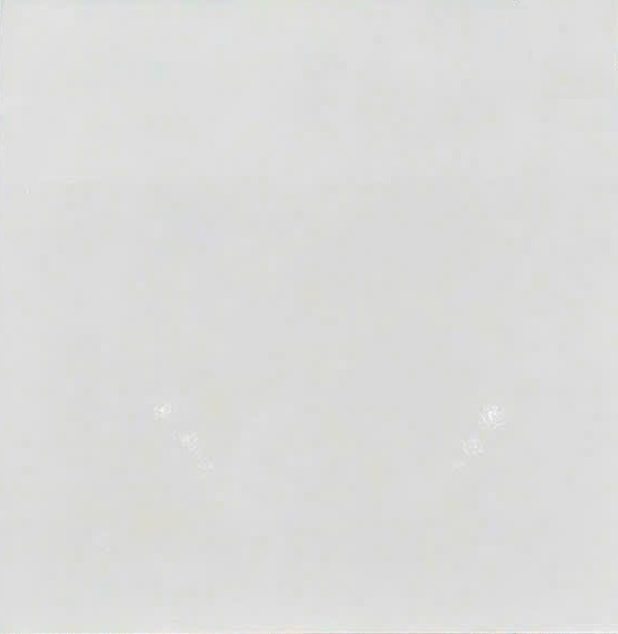 Gạch lát nền FICO 60x60cm-607