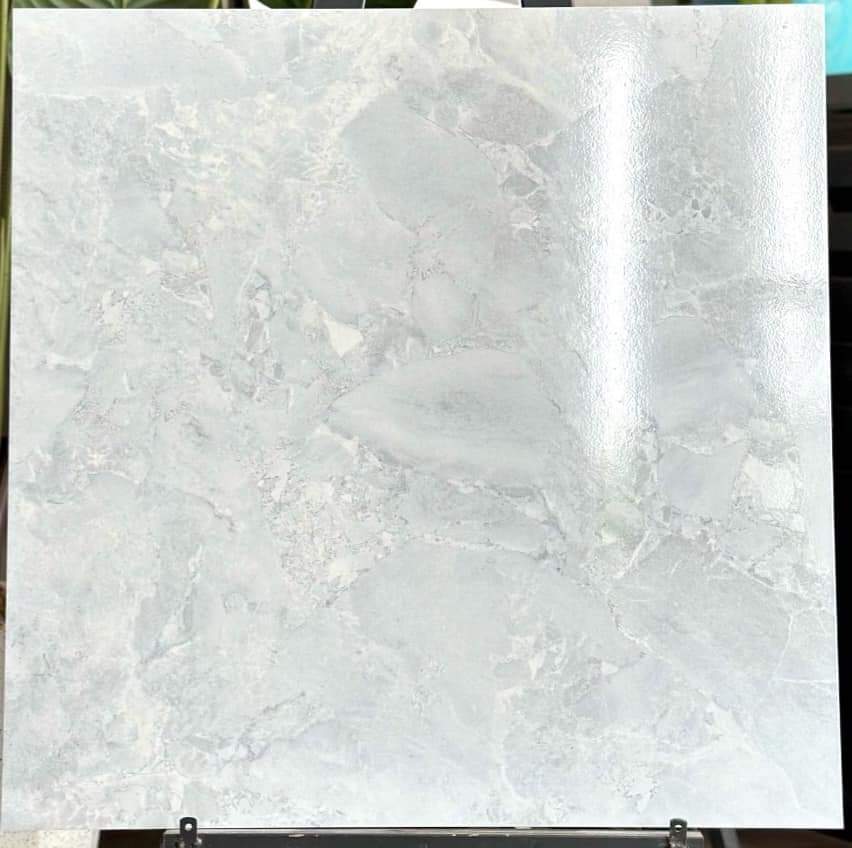 Gạch lát nền pg-001-169