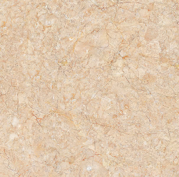 Gạch lát nền TTC 60x60cm -2905