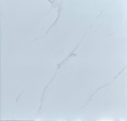 Gạch lát nền Viglacera 80x80-503