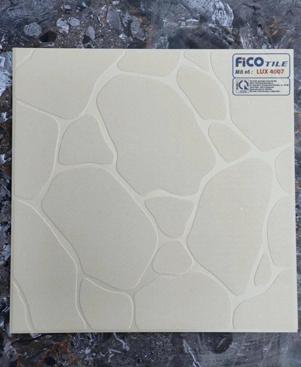 Gạch 0055.5087 Gạch Lát Sân Vườn 50x50cm Fico 50x50cm