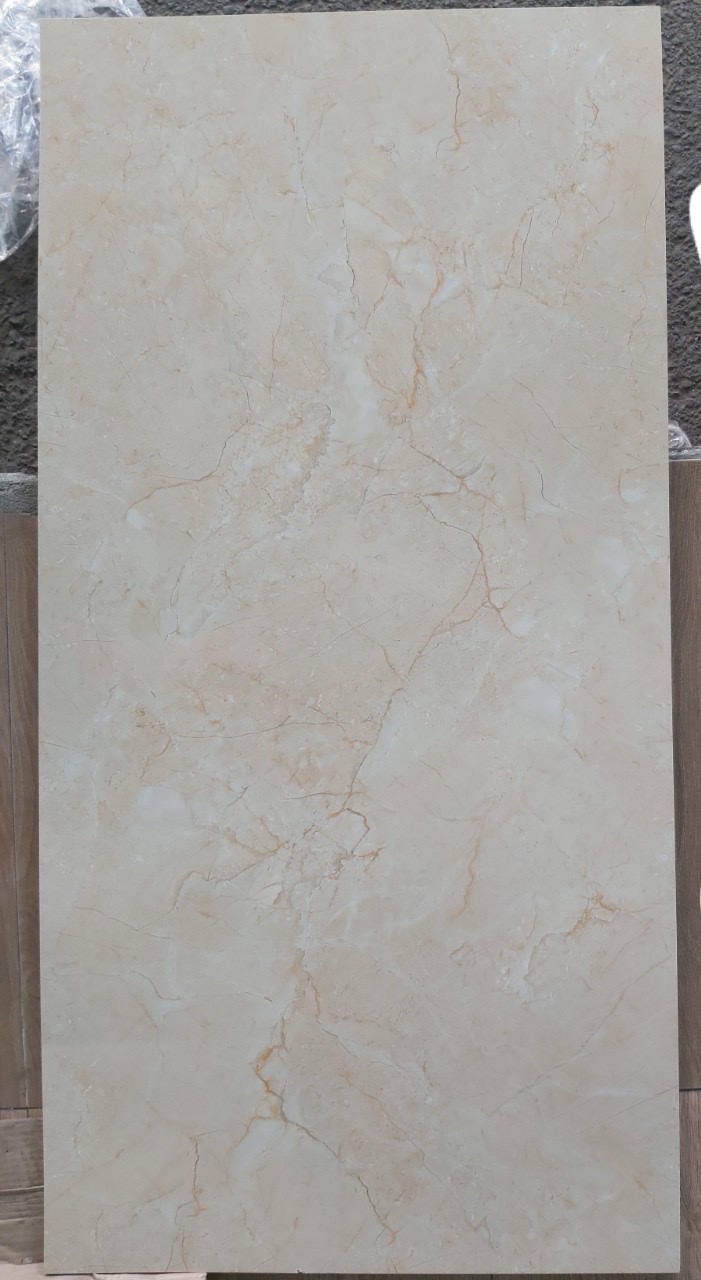 Gạch ốp lát 60x120cm TASA-1548