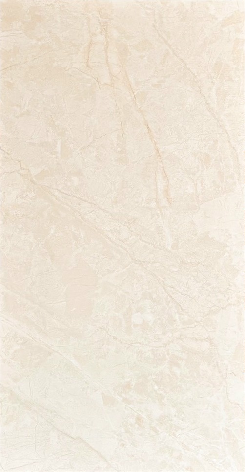 Gạch ốp lát Ấn Độ-309