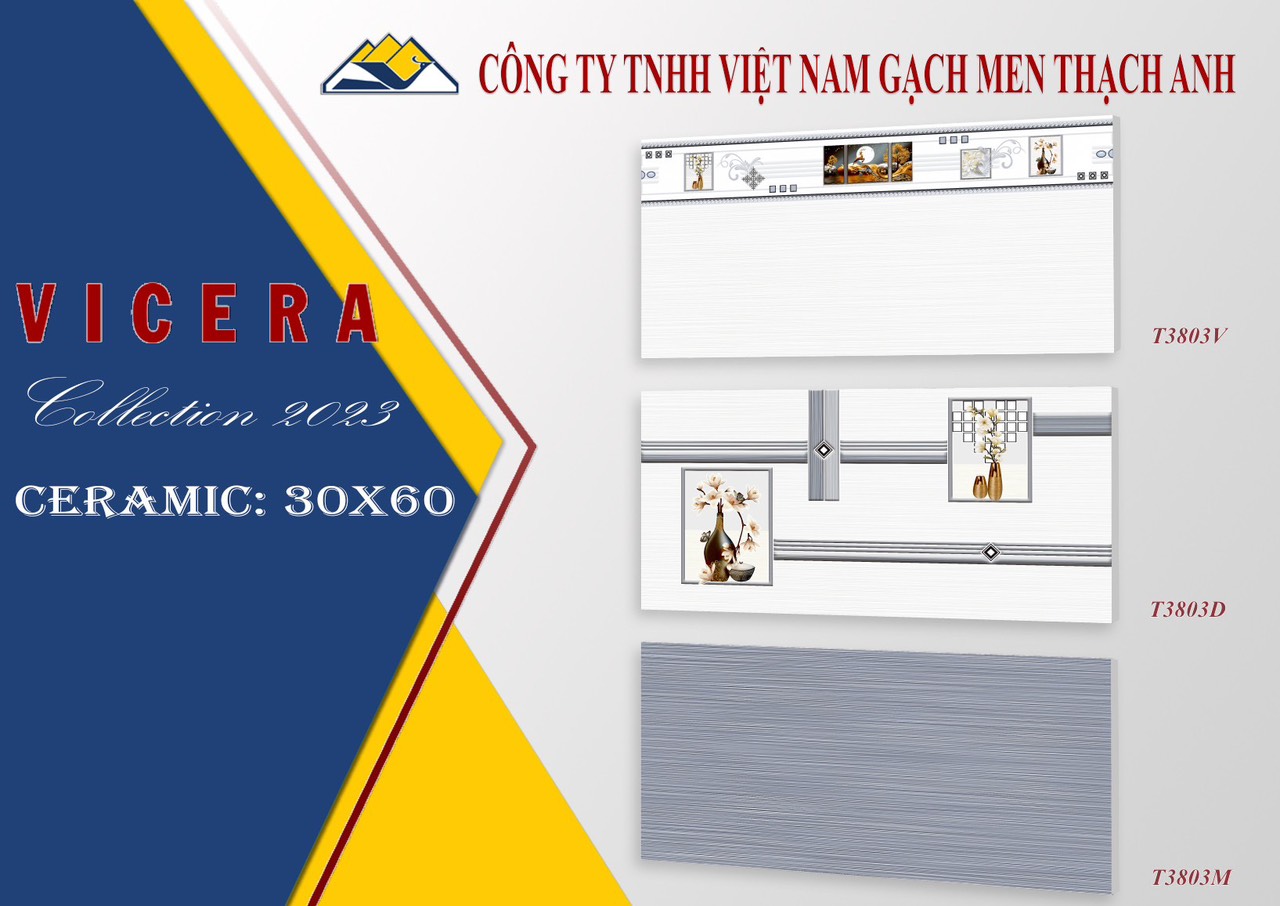 Gạch ốp tường 30x60 điểm-844